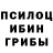 Псилоцибиновые грибы ЛСД Borys Vasylev