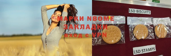прущие грибы Баксан