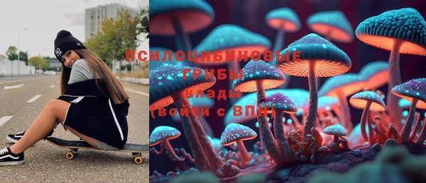 mdma Белокуриха