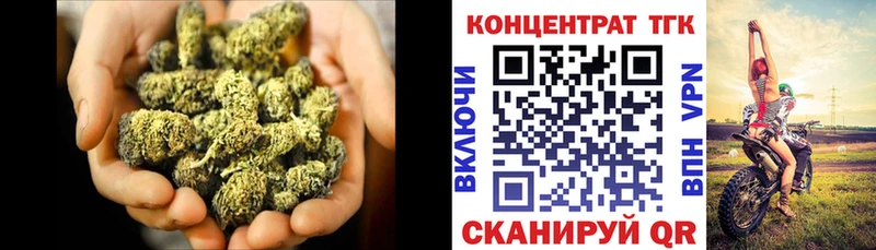 Купить где  Куровское  Дистиллят ТГК гашишное масло 
