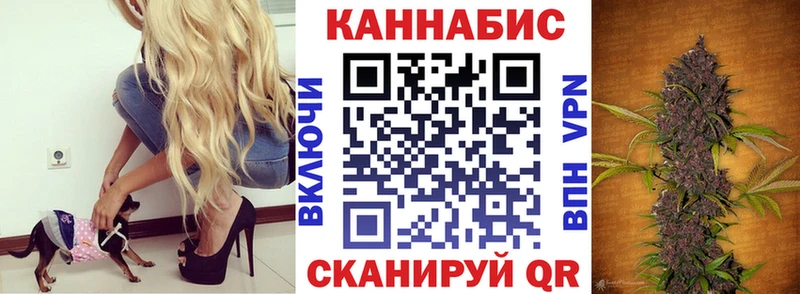 Купить  Куровское  Шишки марихуана сатива 